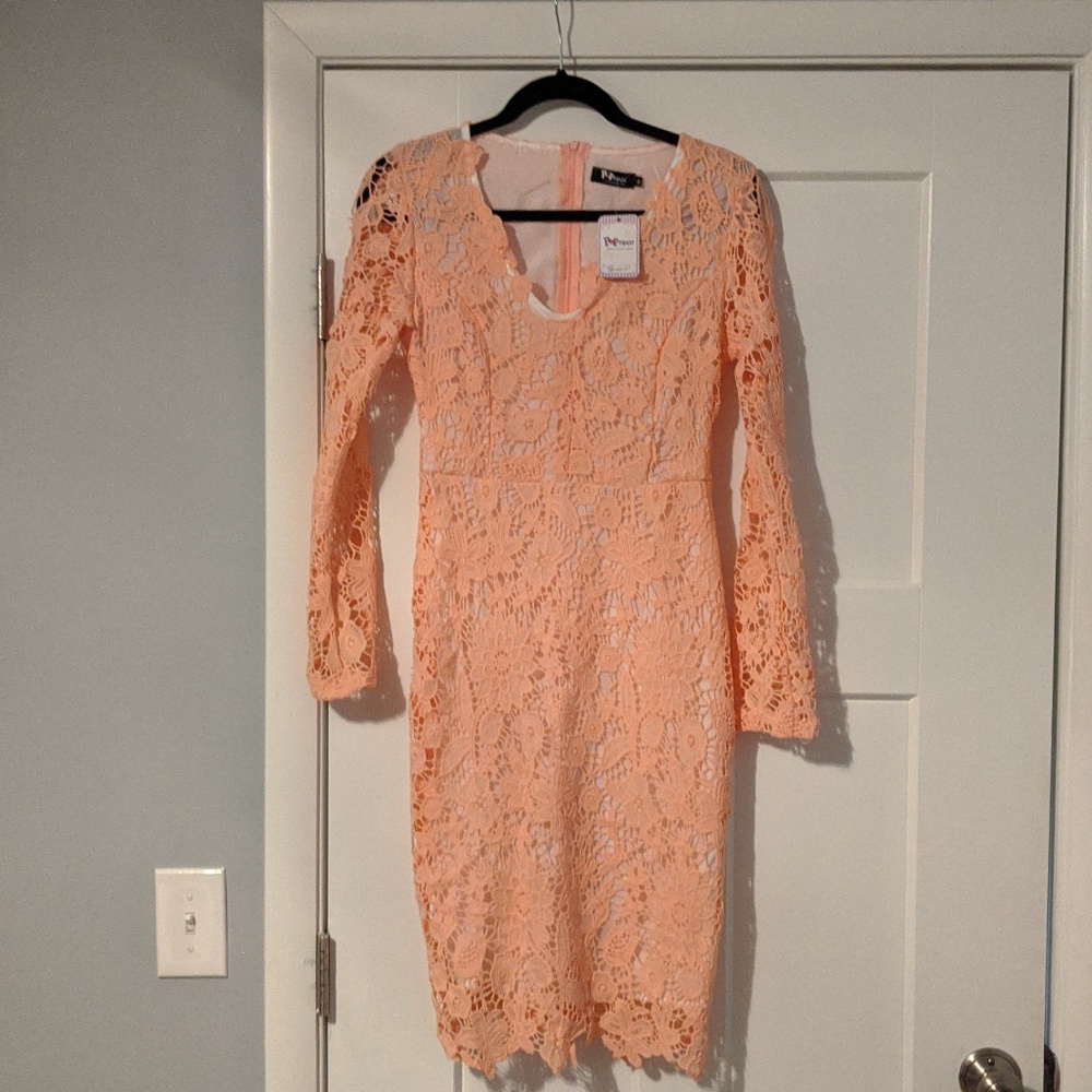 Pink Lace Dress NWT